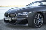 BMW M850i xDrive Convertible 2018 года (WW)